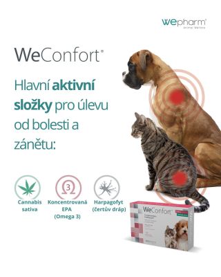 Když váš mazlíček není ve své kůži, poznáte to hned. Najednou nechce jíst, méně se hýbe, nebo prostě působí smutně. Často...