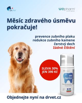 Měsíc zdravého úsměvu pokračuje! I v srpnu se budeme zaměřovat na zuby našich miláčků. Bez pasty zuby nevyčistíte, a proto...