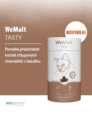 Každý majitel kočky už z dálky pozná to „chrčení“, následované chomáčky chlupů na koberci. Kočky jsou sice mistři v...