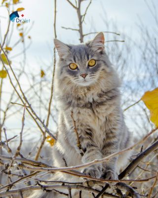 Adventní čas běží, Vánoce se pomalu blíží… ale není důvod spěchat ❄️💙 Doufáme, že si užíváte klidné zimní dny stejně jako...