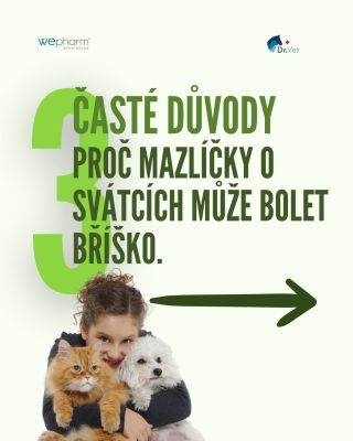 Vánoce jsou super… dokud mazlíčka nezačne bolet bříško. 🎄🐶 Svátky jsou plné vůní, dobrot a návštěv. Trávicí potíže se...
