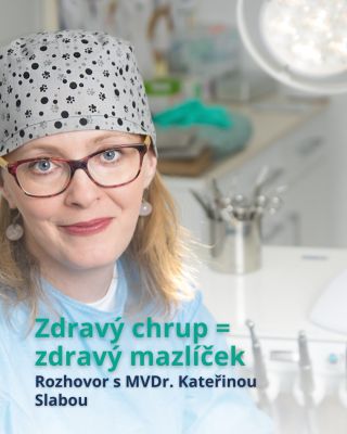 🐾 Zuby psů a koček jsou zrcadlem jejich zdraví! ❤️ 👩‍⚕️ MVDr. Kateřina Slabá, specialistka na veterinární stomatologii...