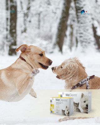 ❄️ Zima dává kůži i srsti zabrat. Suchý vzduch, časté přechody z tepla do zimy a méně přirozené hydratace mohou vést k...