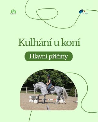 🐎 Kulhání u koní není drobnost, kterou můžete přehlížet. Často je signálem bolesti nebo problému pohybového aparátu - od...