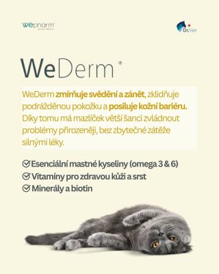 🐾 Kožní potíže u psů a koček často nezačnou ze dne na den. Nejdřív se objeví svědění, citlivější pokožka nebo horší...